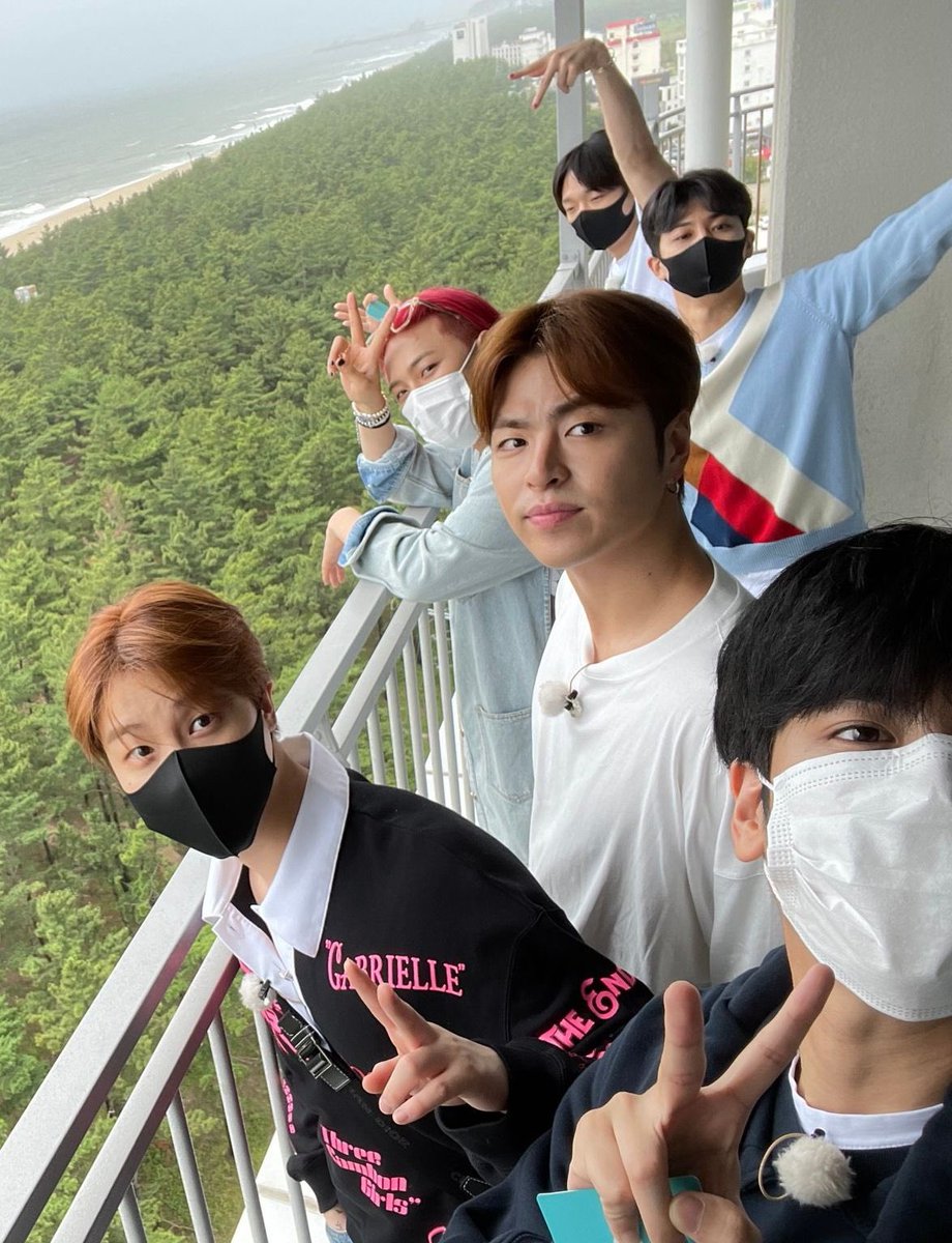 theyre so pretty.... my babies...