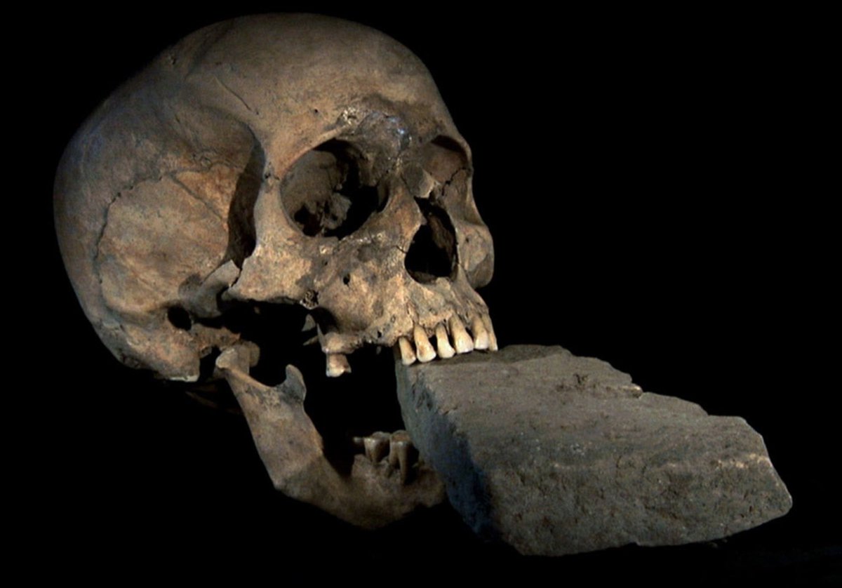 HailBones666's tweet photo. Different body-spos in one thread so I can keep them together. 

P.S. images are of “vampire” skulls. Those feared to be vampires were buried differently, including a huge rock in the mouth. https://t.co/llWsAy5Qkx