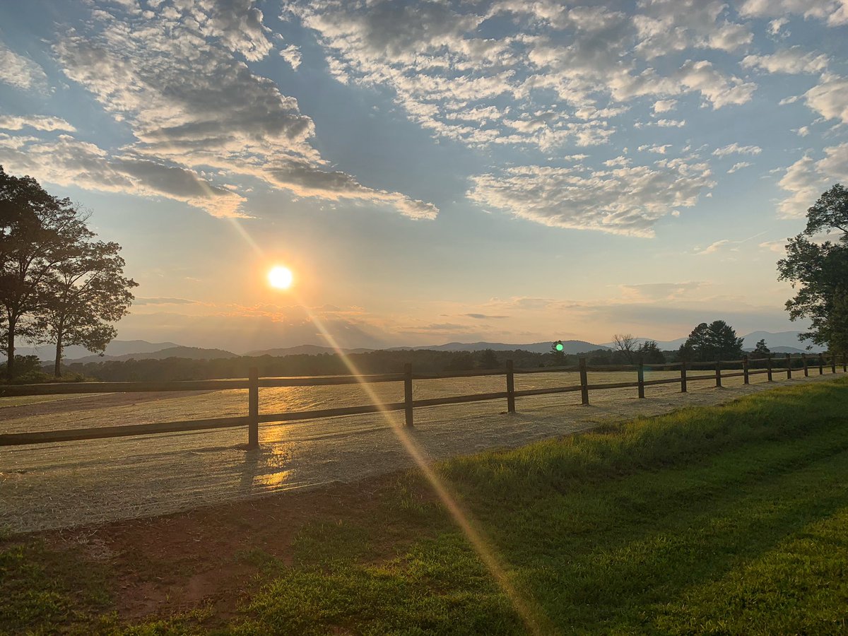 Karen Swallow Prior (Notorious KSP) tweet media