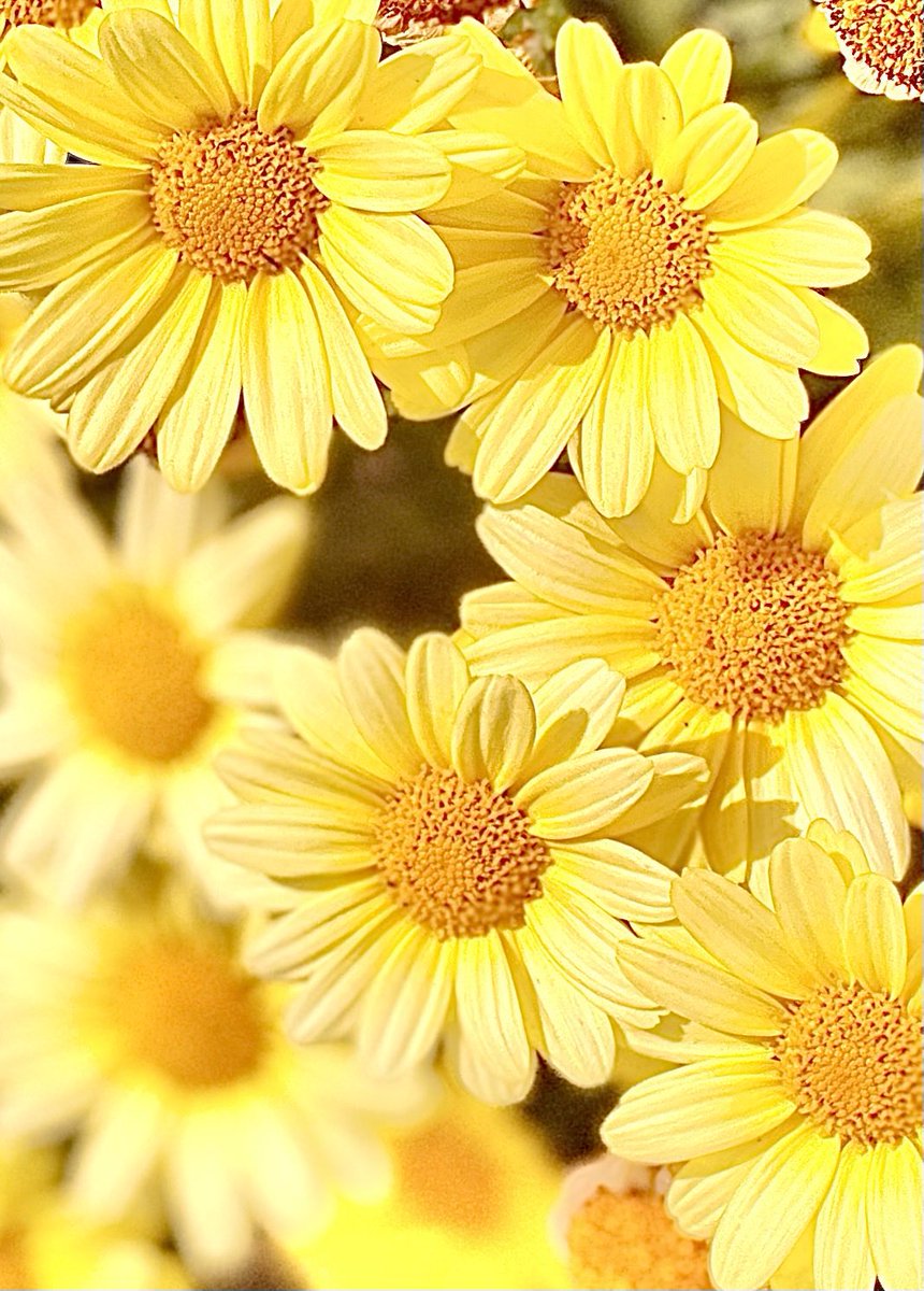 reallypunna's tweet image. อรุณสวัสดิ์วันจันทร์ค่ะ เริ่มต้นสัปดาห์ด้วยความสุข เต็มไปด้วยรอยยิ้ม เต็มที่กับทุกอย่างที่เลือกทำและไม่ว่าอยู่ไหนก็ขอให้ปลอดภัยจากโควิดทุกคนค่ะ