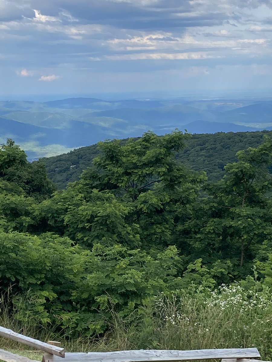 dansi4's tweet photo. In one of my happy places. https://t.co/gg6RIXGsfR