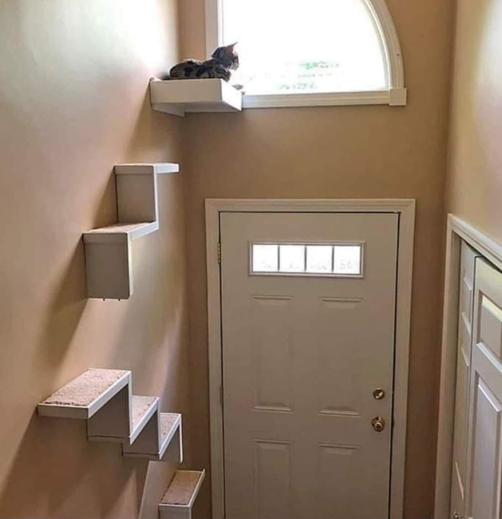 alejandrocsome's tweet image. - Arquitecto, necesito una ventana arriba de la puerta.
- Perfecto. Imagino para iluminar el hall de entrada.
- Si claro... para eso.