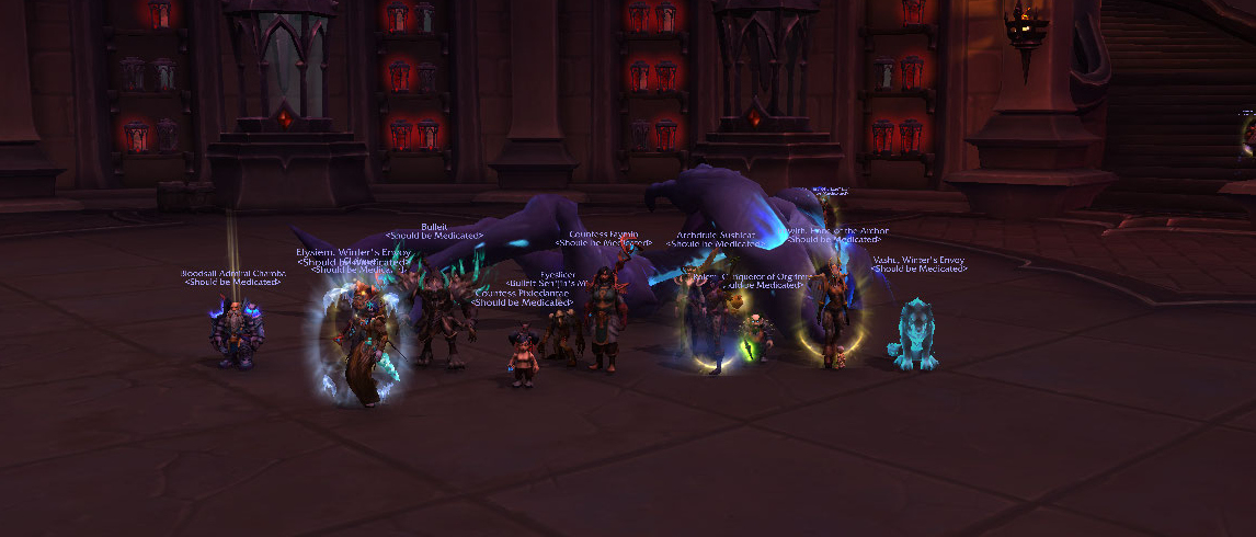 BeMedicated's tweet photo. Raiding with the guild tonight! Great time on our last #CastleNathria Run! #shadowlands https://t.co/NuuezpxW7g