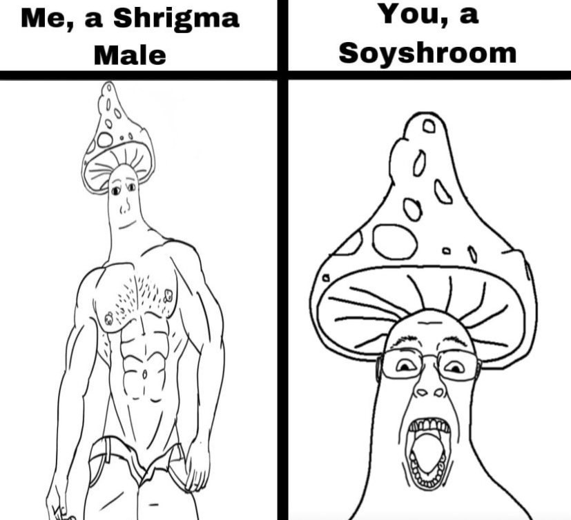 E5fjooUXMAEdwVB?format=jpg&name=900x900