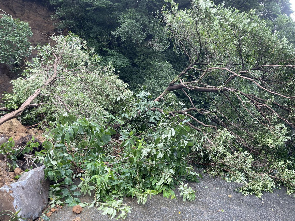 amichi515's tweet photo. 私の叔父の石屋の仕事場が
今回の土砂崩れの災害に遭いました…。

熱海などの大変な地域の報道が
多いですが、こういった報道されない被害にも
目を向けて頂きたいです。

拡散お願いいたします。

#真鶴 #石屋 #熱海市災害 #土砂崩れ #土砂災害 
#熱海伊豆山 #熱海土石流 https://t.co/g1kLbyceI5