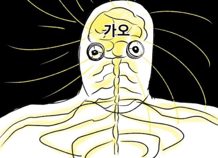 강제집행정지 tweet media