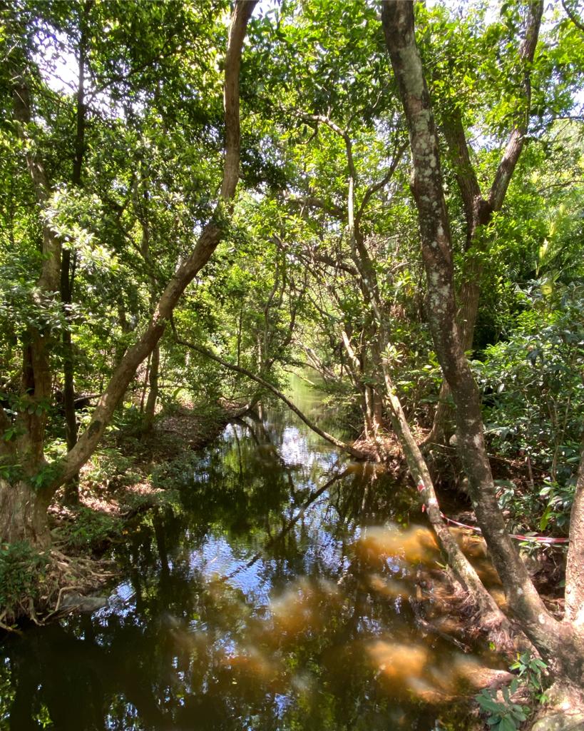 Signature Homes Residential Leasing tweet media