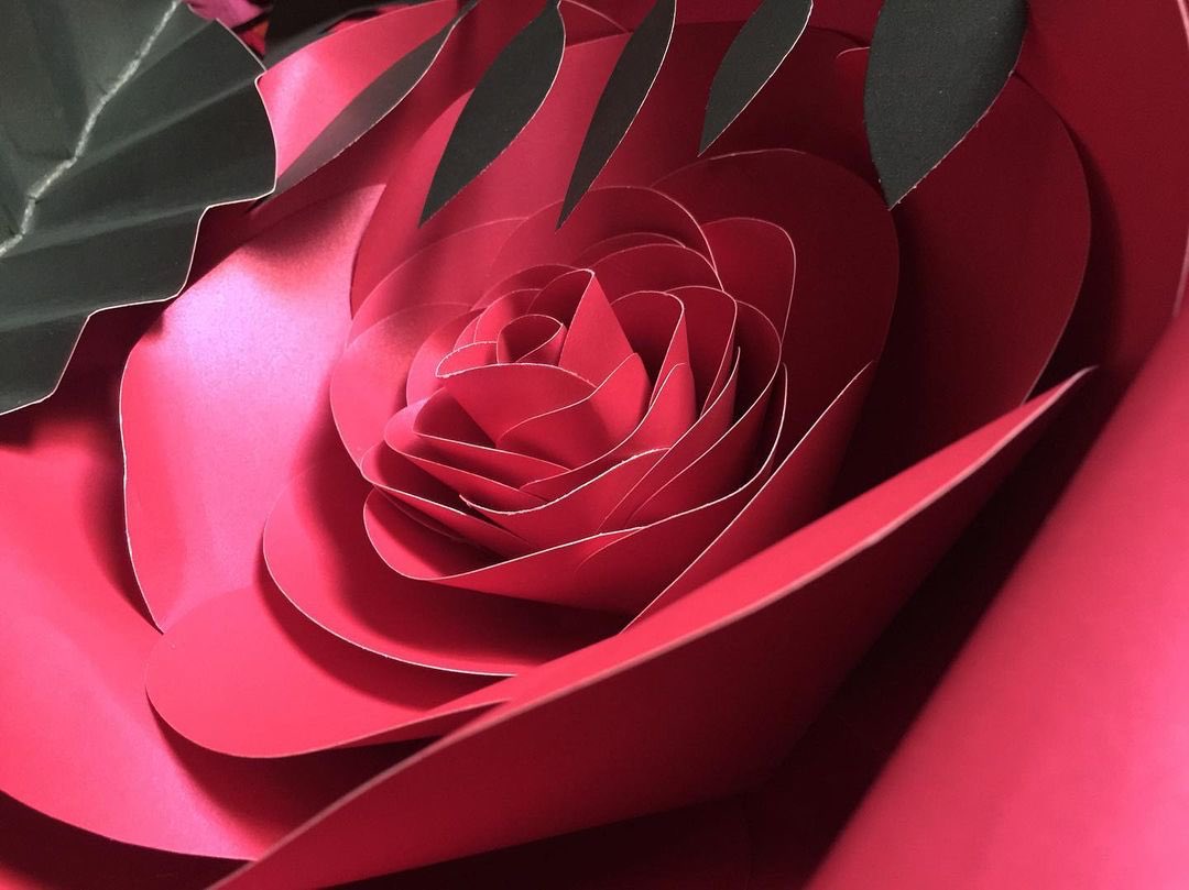 uriscollections's tweet photo. Improvement is impossible without change😉
#BeautyRevealed 
#Craft
#Art 
#Creativity 
#HandMadeCreations
#UrisCollections 
#RosePaperFlower
#CreativeFingers
#PaperPower
#WallDecor https://t.co/gq8de6lE0Z