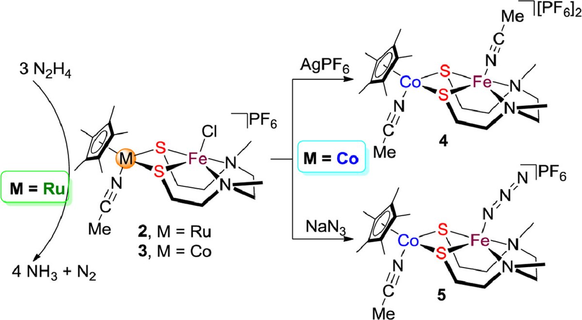 ChinChemLett's tweet image. Synthesis, characterization and reactivity of thiolate-bridged cobalt-iron and ruthenium-iron complexes. #MetalComplex #organometallics sciencedirect.com/science/articl…