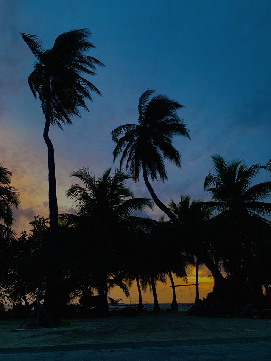 abdulraziqalii's tweet photo. السلام عليكم ورحمة الله وبركاته 

Today's sunrise for a beautiful morning♥️
#Raattey #Raatteyclicks https://t.co/jW2Ys39Lrz