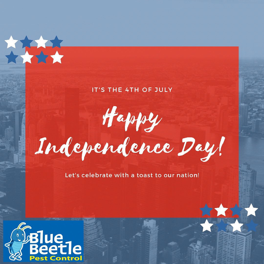 Happy 4th everyone! Enjoy the fireworks, family, and friends! Stay safe and have fun! Comment below with some firework pics! 🎇🎆🎇