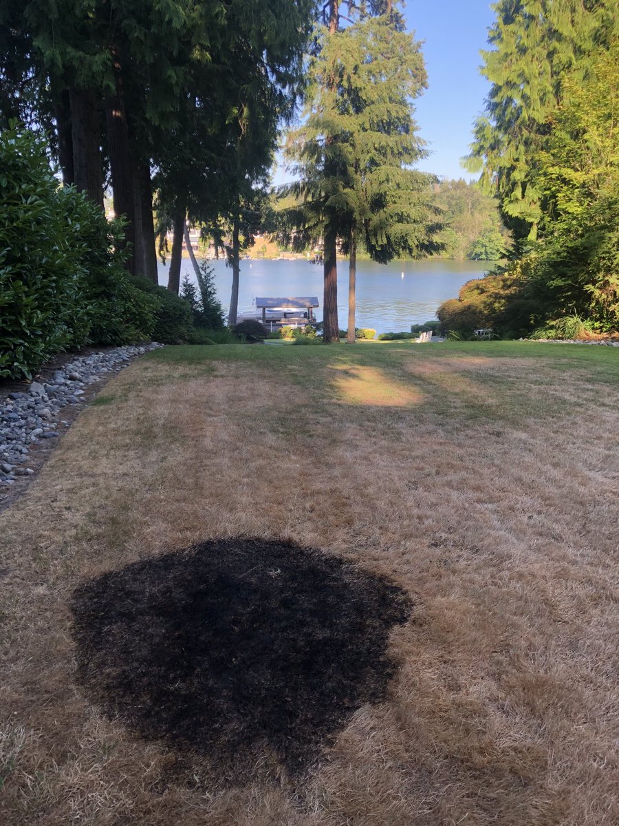 NotBogus's tweet photo. Even with Leif’s sparkler making a small lawn fire 😂 https://t.co/K9JFagkDKX