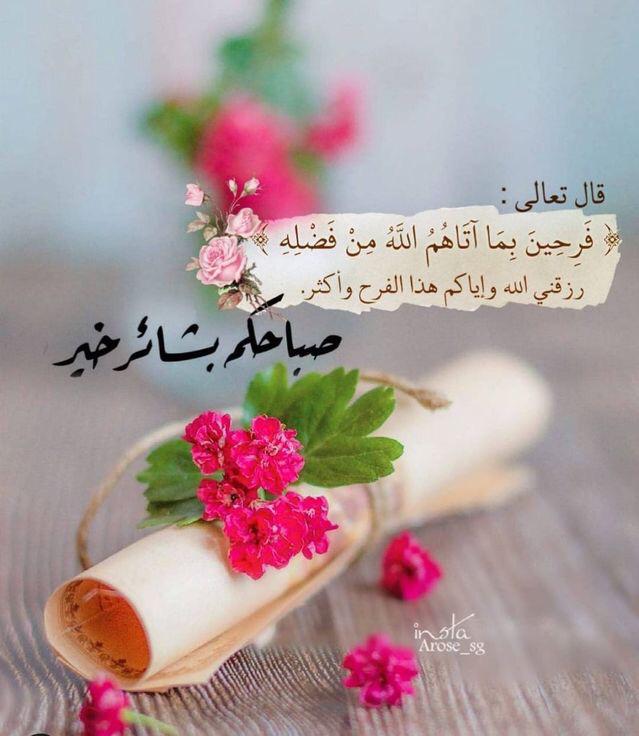 🪷أميرة الورد 🪷💜 tweet media