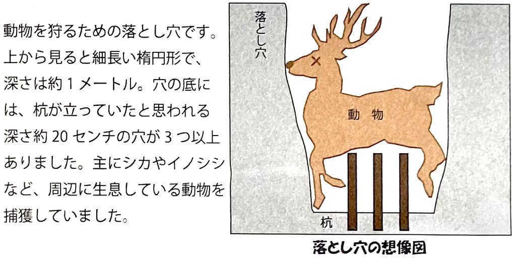 情景師アラーキー 荒木さとし 落とし穴 近所の縄文時代 の遺跡の発掘見学会 祭事を行なっていた鏡型住居跡とか完璧な形で発見された縄文土器とか多々貴重な発見がある中で もっとも心射抜かれたのは狩 用の落とし穴とその説明の為のイラスト 東京