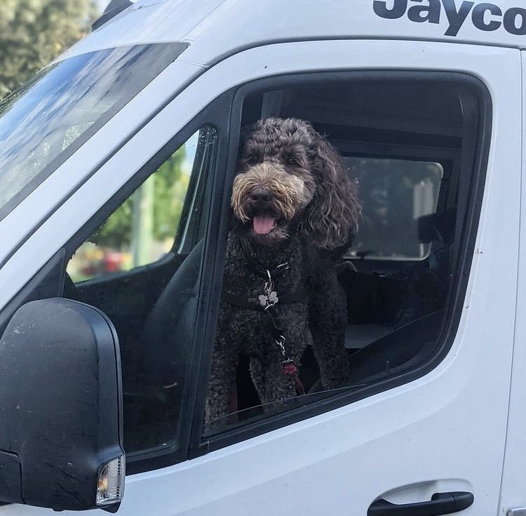 JaycoGeelong's tweet photo. Attention, pup on the road β οΈ Henry can't wait to get his pup-cation started. πΆ π
What are your weekend plans?
πΈ :@henrys.day
#jaycoaustralia #letsgojayco #camping #roadtrip #caravanning #adventures #australia #holidays #familytravel #familyadventure #potd #travelphoto https://t.co/hLNLQC0AJl