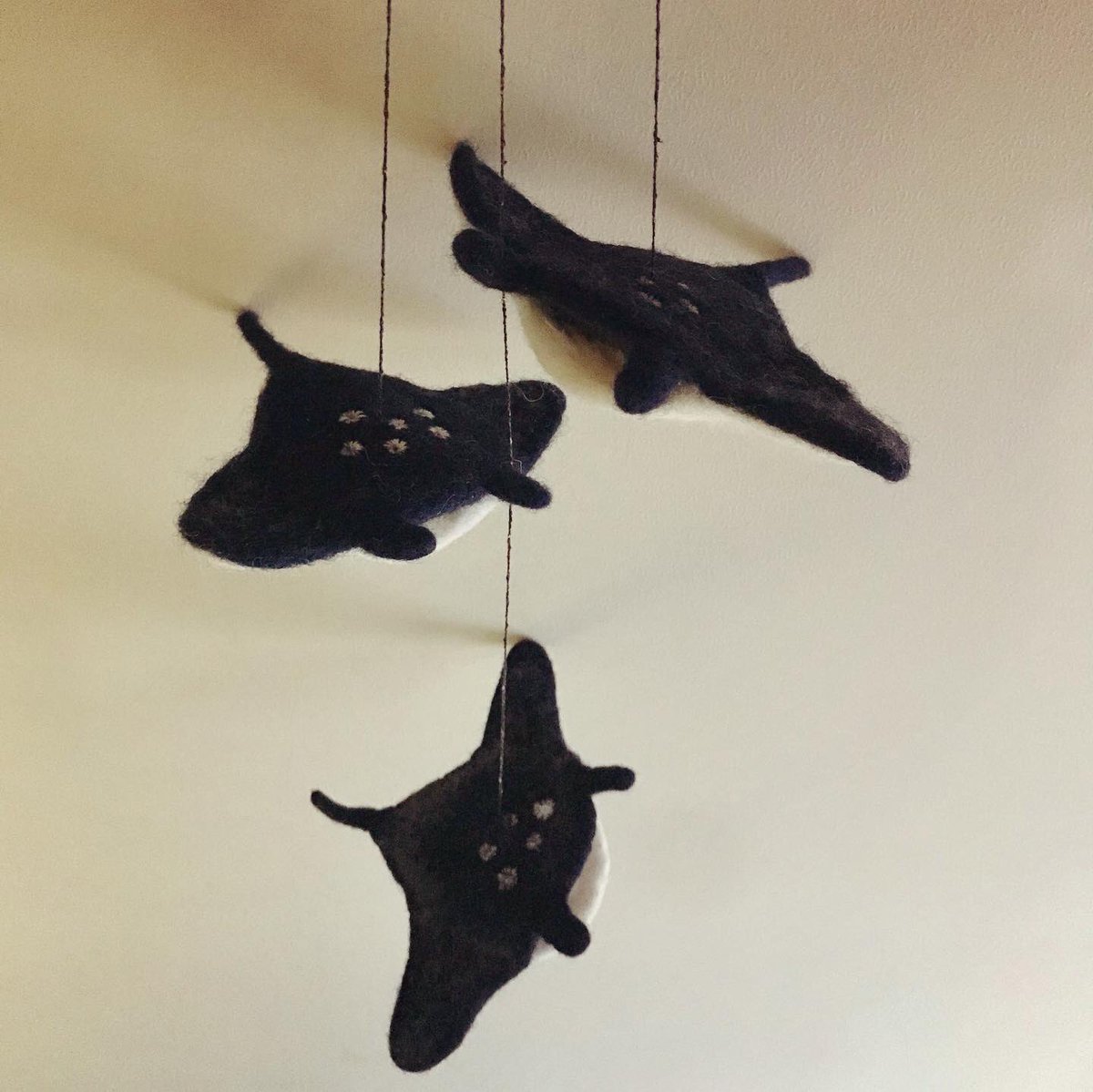 Abarayam Akari Ogata Abarayam Twitter