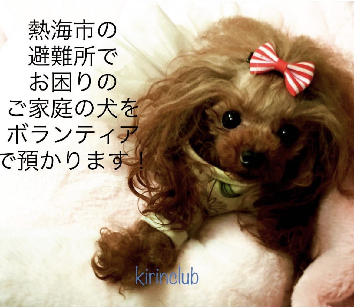 Aiko Wakakusa Aikowakakusa Twitter Aiko Wakakusa Aikowakakusa Twitter