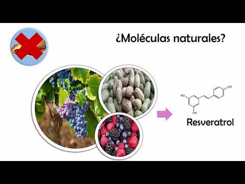 FCTQ_uclm's tweet image. Esta es la presentación flash para la participación de Ciencia Joven 2021 de Sonia Muñoz López del área de Bioquímica @mlopez_sonia #XVYoungScienceSymposium #BeUCLM #VenUCLM #CiudadReal youtu.be/kuKyLePyAG4?ut…