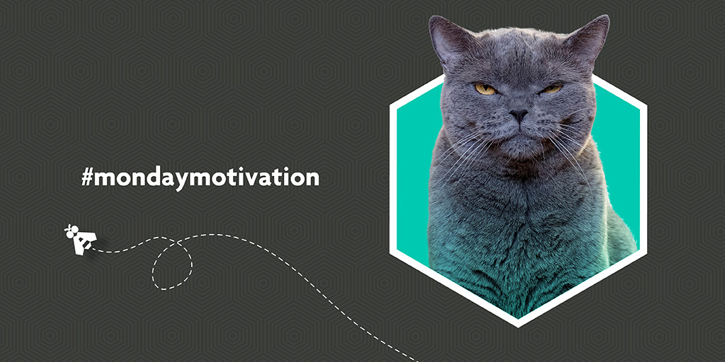 If you’re lacking that #mondaymotivation when working from home today, make sure you take regular breaks - whether it’s to make a cup of tea, do a bit of stretching or sit outside for some fresh air, your mind will thank you for it! 😊
#workingfromhome #wfhlife #workfromhomehacks