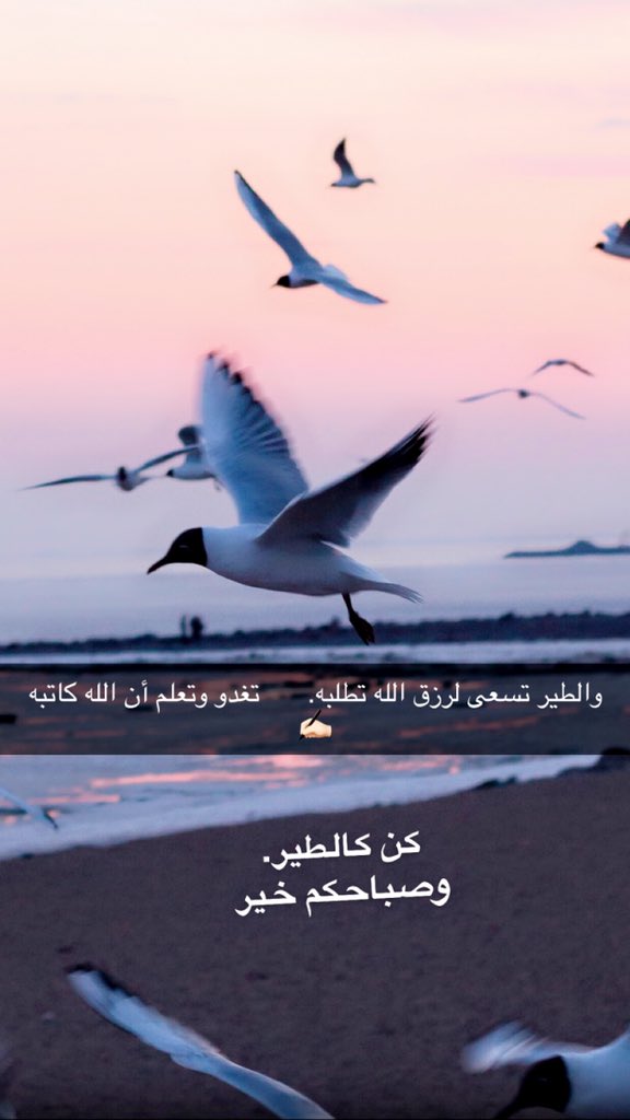 SAmirah200's tweet photo. #راقت_لي https://t.co/BFNrYiBkNI