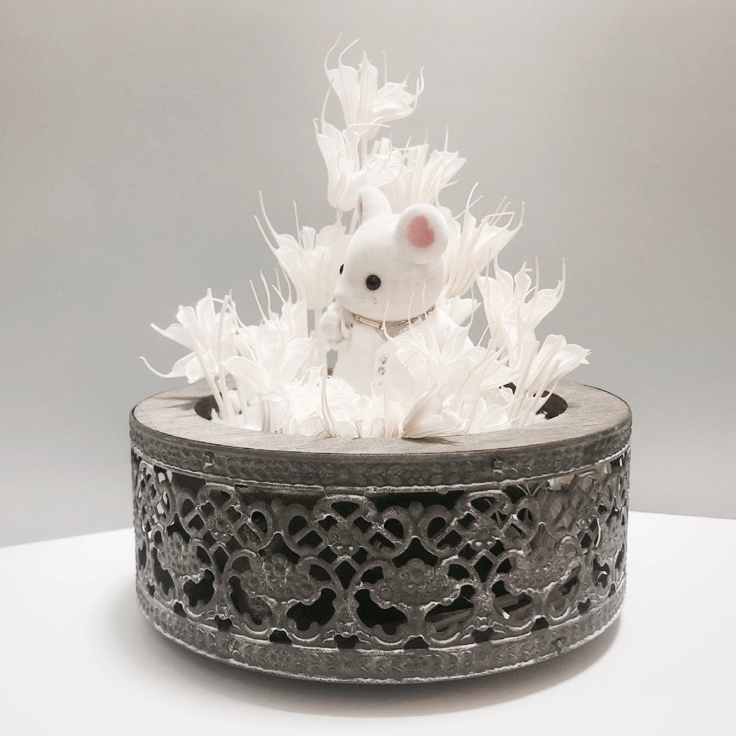 ゆきつむり 箱庭さっくん全体像 この器みた瞬間縁 Yuan じゃん ってなった代物 ドライフラワーとか飾るやつみたいです 使用したドライフラワーは ニゲラオリエンタリス 花言葉は 夢で逢えたら Snowman さっくん 縁yuan ゆえん 千年先も我爱