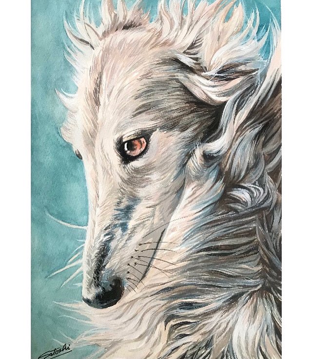 Twoucan ボルゾイ の注目ツイート イラスト マンガ コスプレ モデル