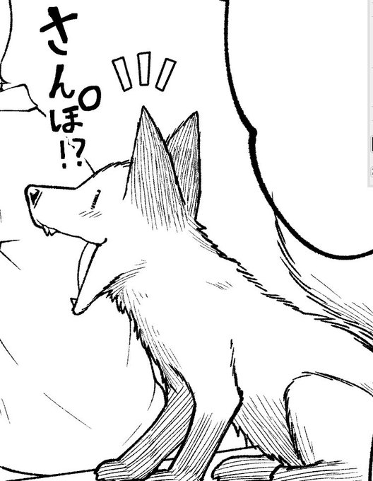「さんぽ」という言葉に嬉しくなる🦊 