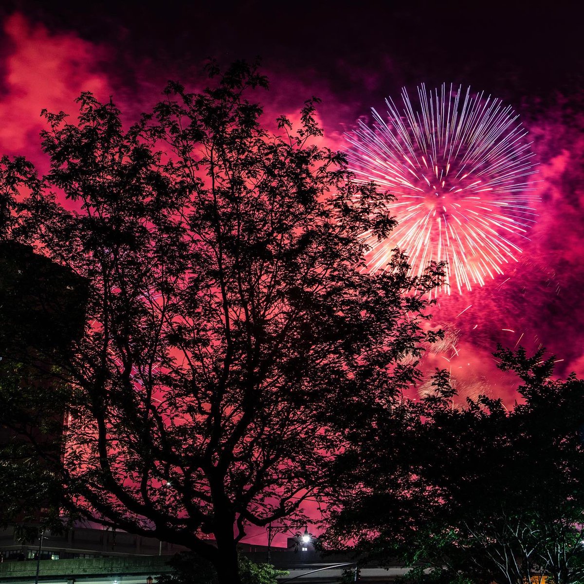 Justin McConney tweet media