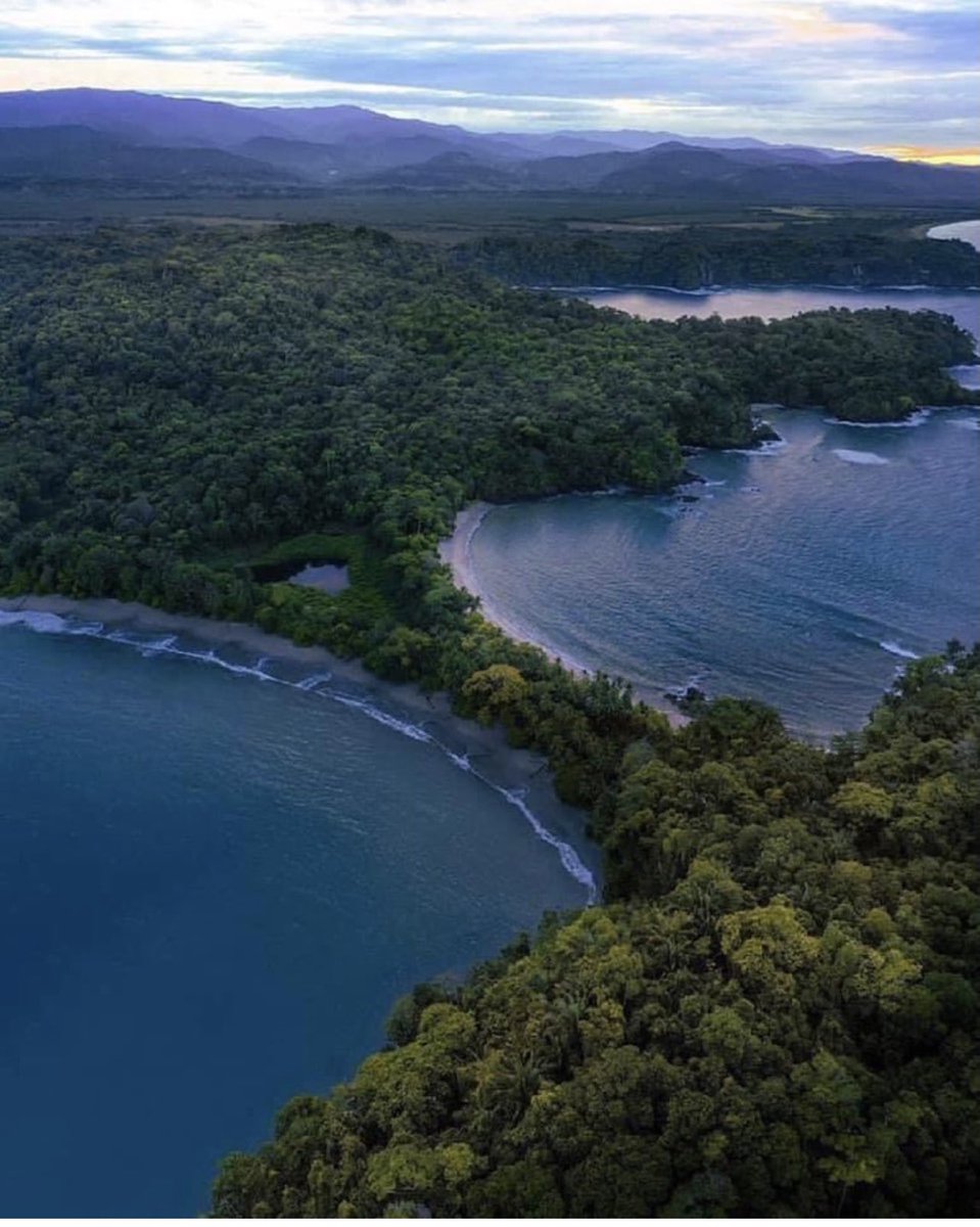 Erika Cyrus-Barker tweet media