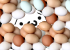 VonShobon's tweet photo. #SquareEnix @FF_XIV_EN #FFXIV Just throwing out that I've reached over 2 million boiled eggs donated now, and I plan to keep going :v https://t.co/L2wRpC4Nnc