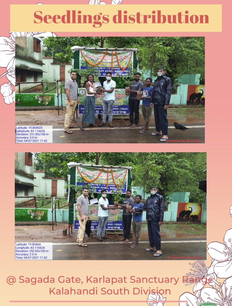 DfoSouth's tweet photo. @ForestDeptt @pccfodisha @sandeepifs @BoudhDfo https://t.co/CiBOWZ9uEv