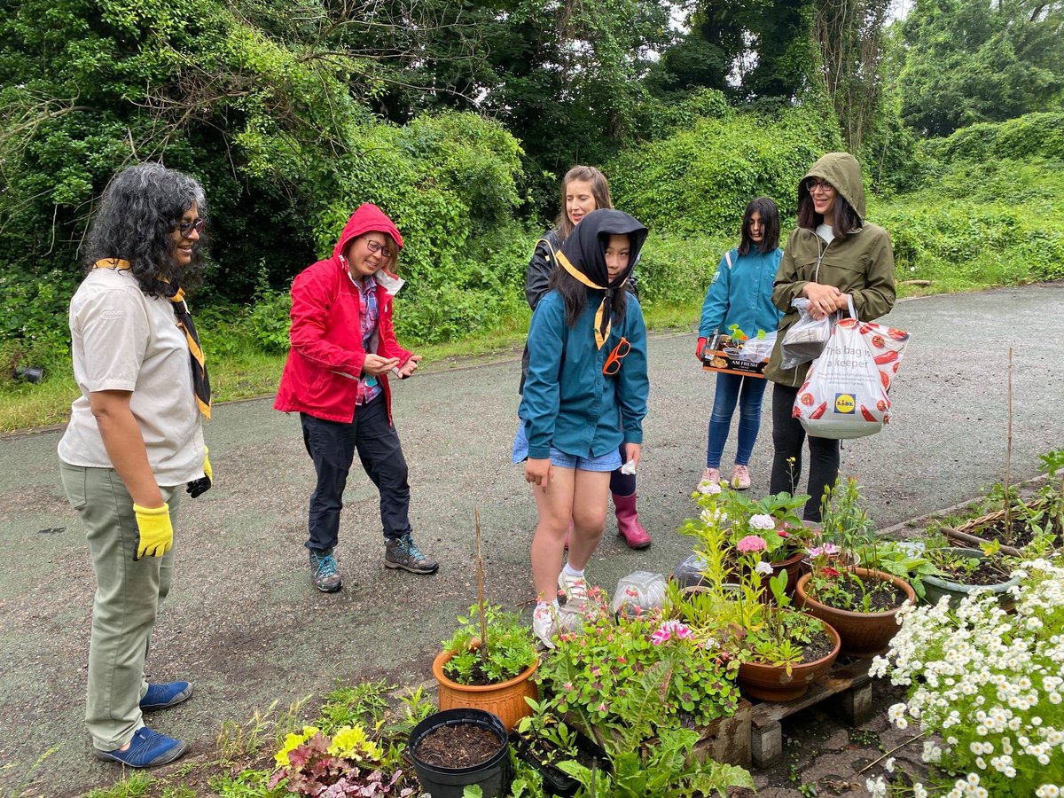 Plum Tree Housing Co-operative tweet media