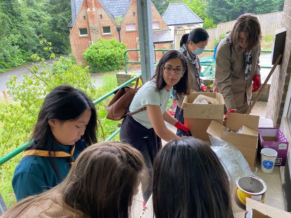 Plum Tree Housing Co-operative tweet media