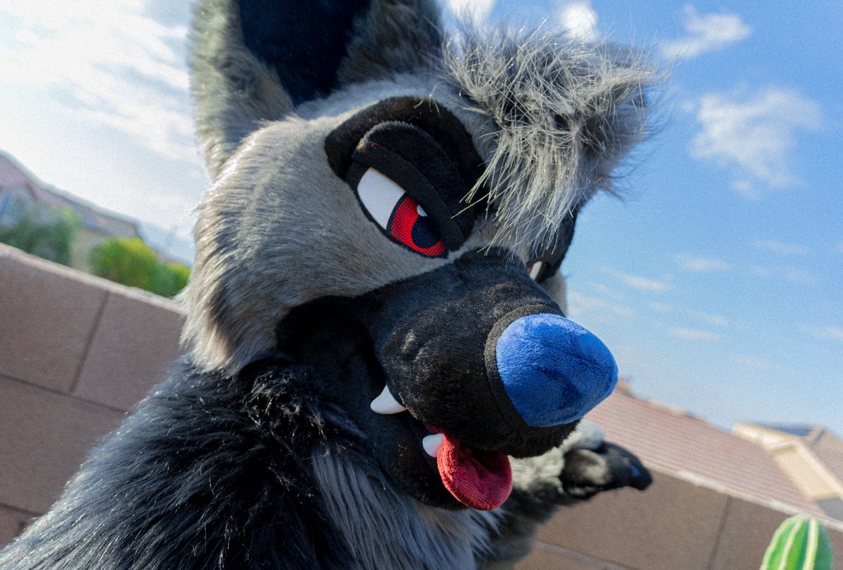 RookaRoo tweet media