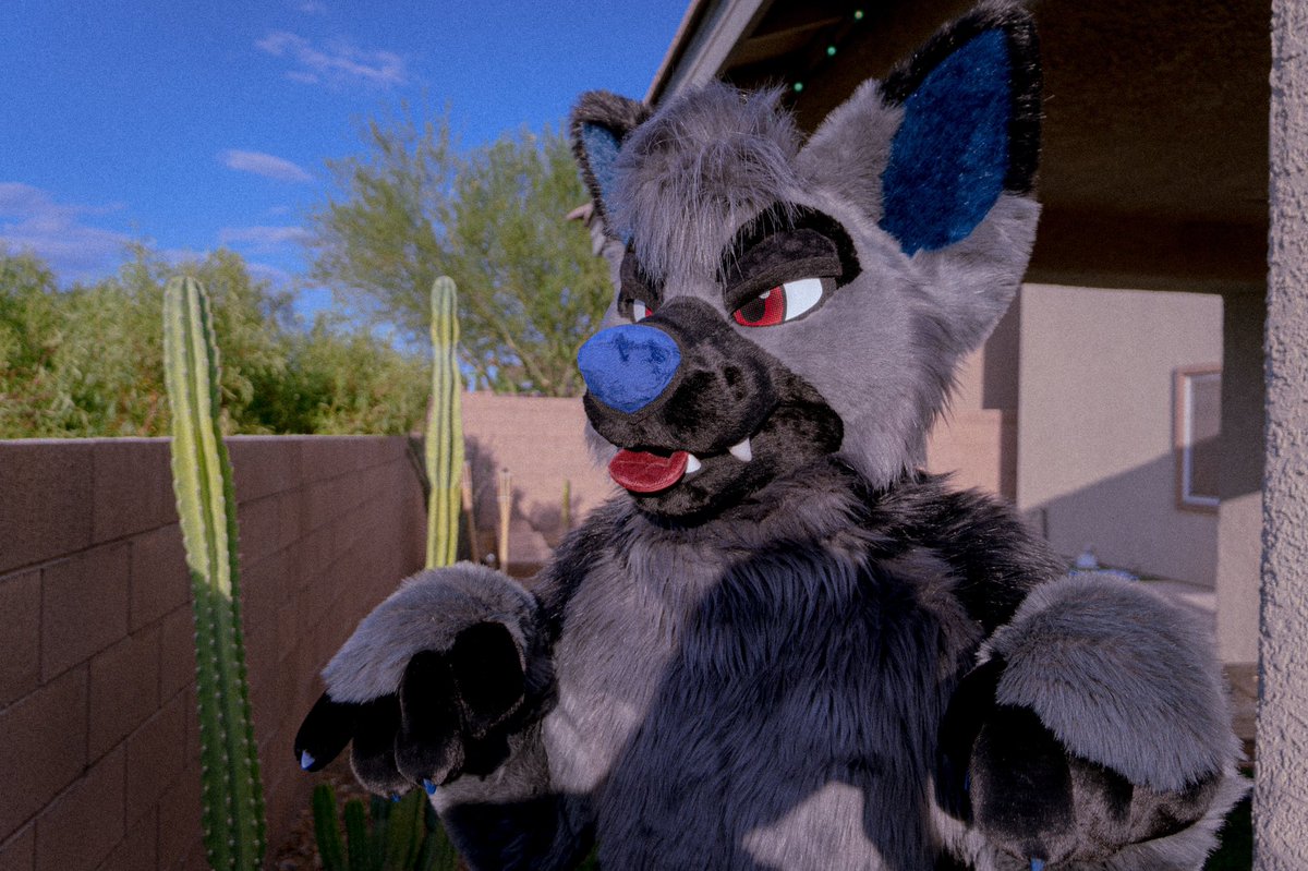 RookaRoo tweet media