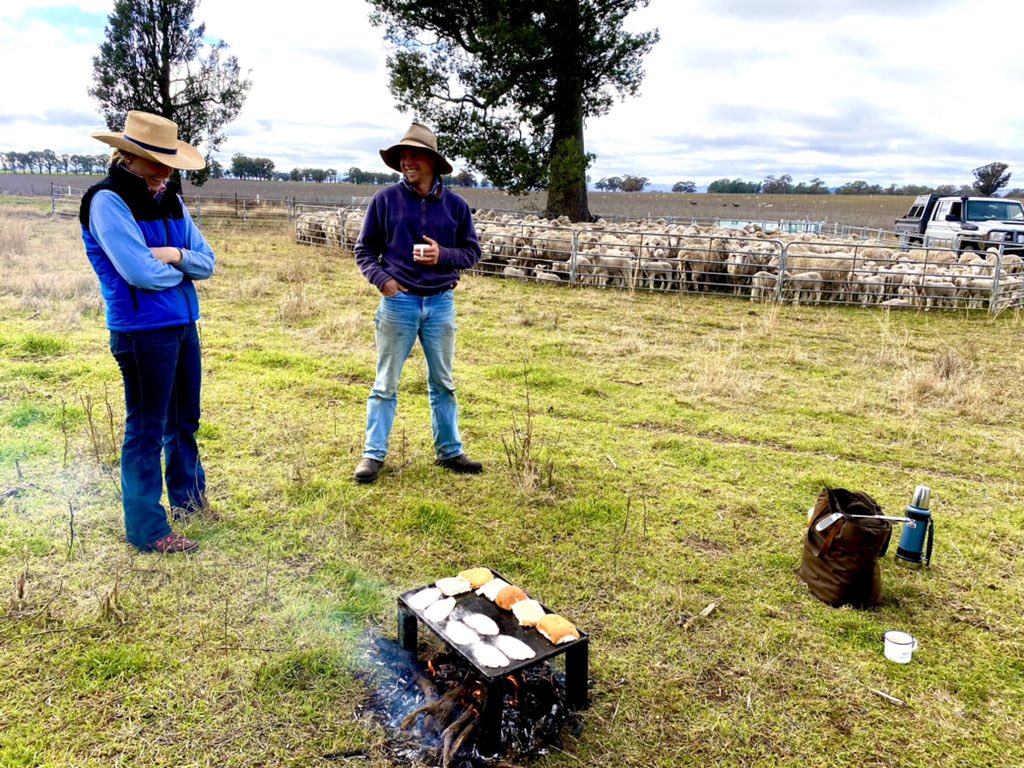 AMC_DirtDollars's tweet photo. Paddock smoko done right. Bacon & egg burgers. ✅ #ausag #agchatoz #sheepwork https://t.co/Xu5HMeXwWd
