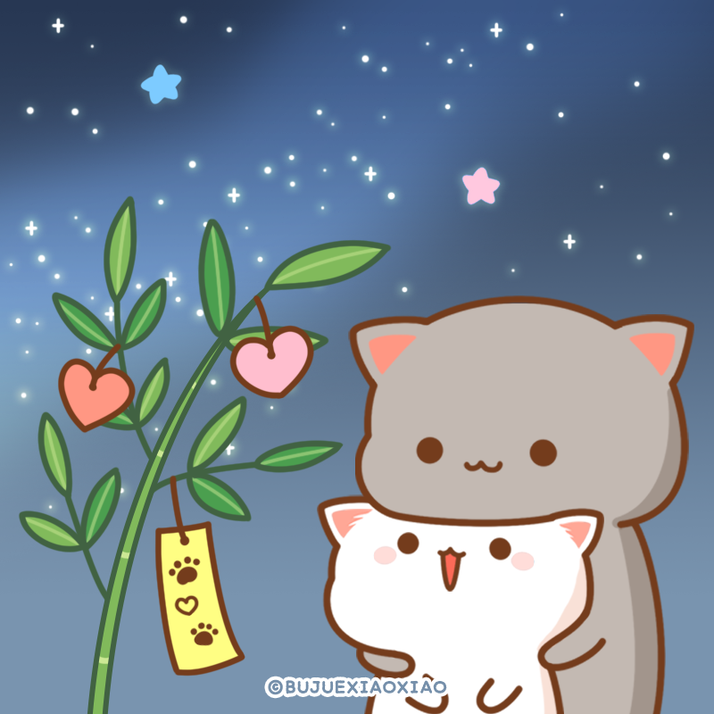 ももねこちゃんとごまくん Momoneko Goma Twitter