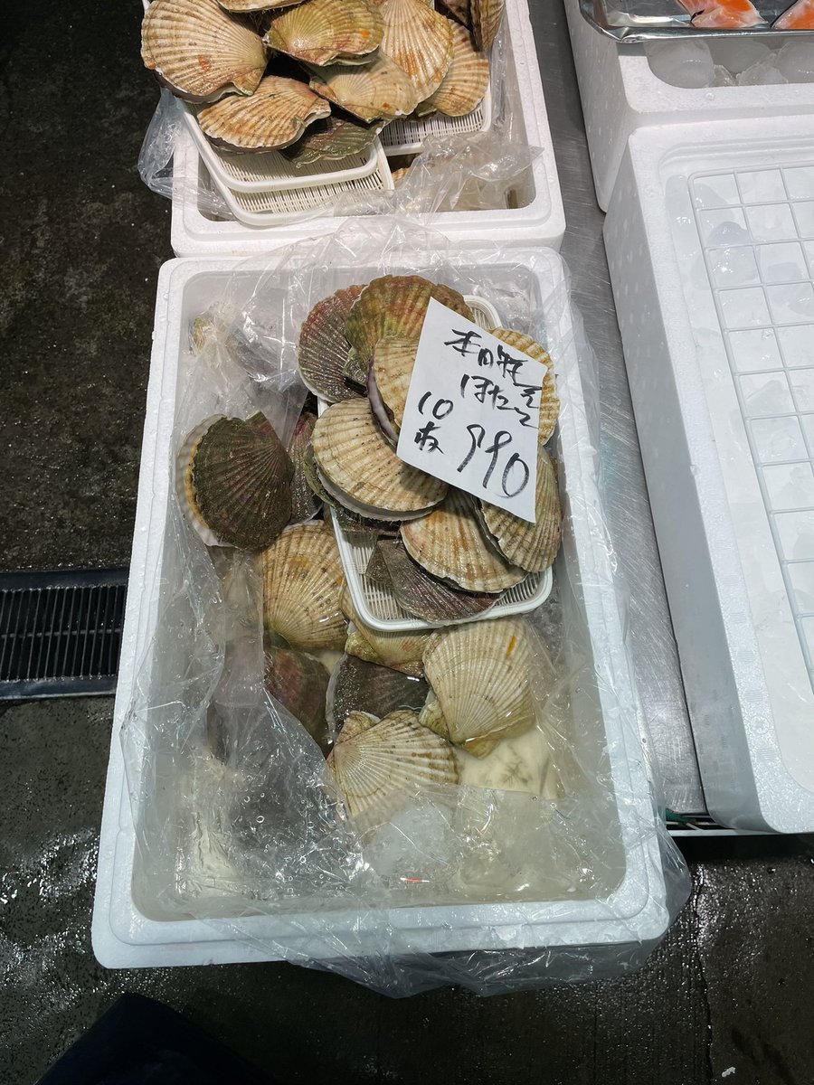 今日のサービス品は宗谷産貝ホタテです。オホーツク海のホタテは稚貝を海にまいて育てているので、ほぼ天然ホタテと言っても良いものです。貝柱はあまり大きくないのですが、身の締まりはプリプリですよ。
＃共栄市場 #ことに ＃貝ほたて