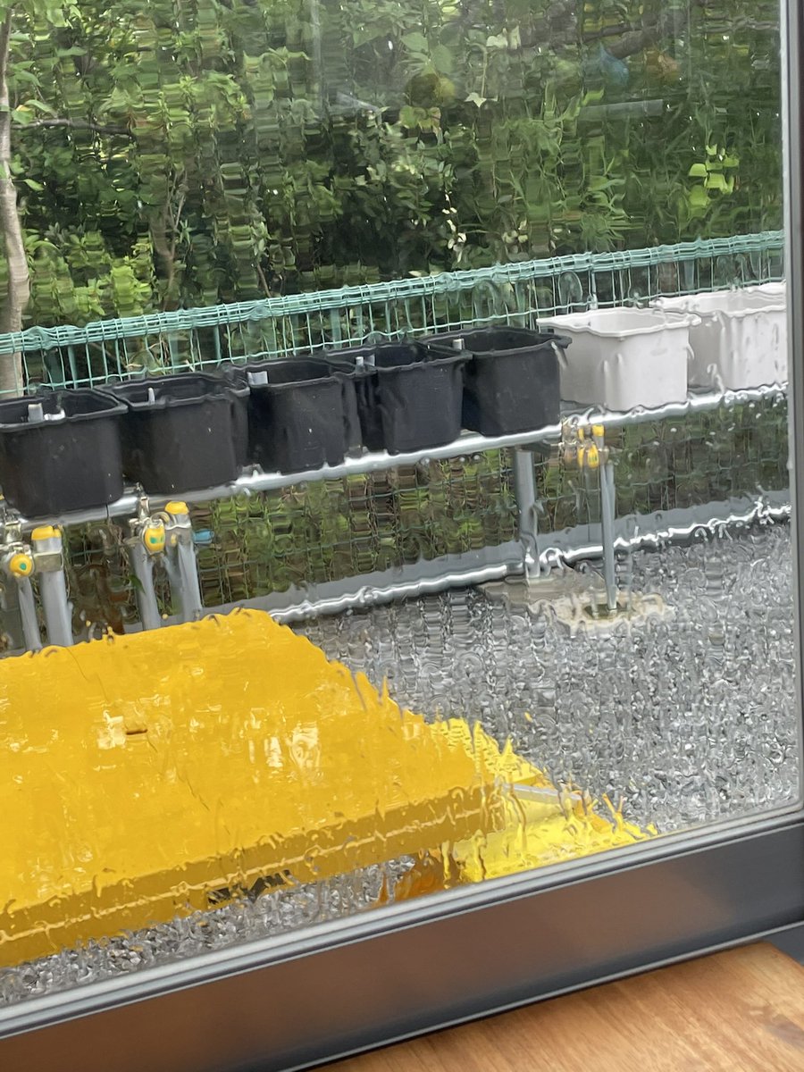 TaPPuu1's tweet photo. 作業中の突然の大雨やめていただきたい。
とりあえず中で待機中 https://t.co/opPks2u7zR