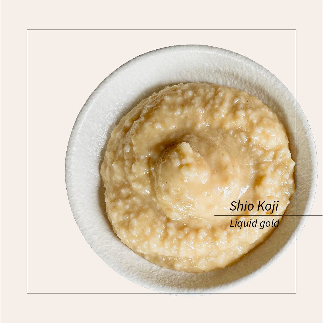 MeruMiso's tweet image. Liquid gold.

Find our Shio Koji online at buff.ly/3xi8bfn