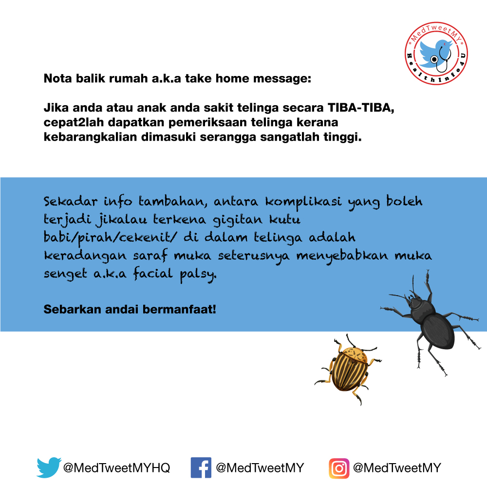 Saiyidi Hanimsaiyidah Twitter