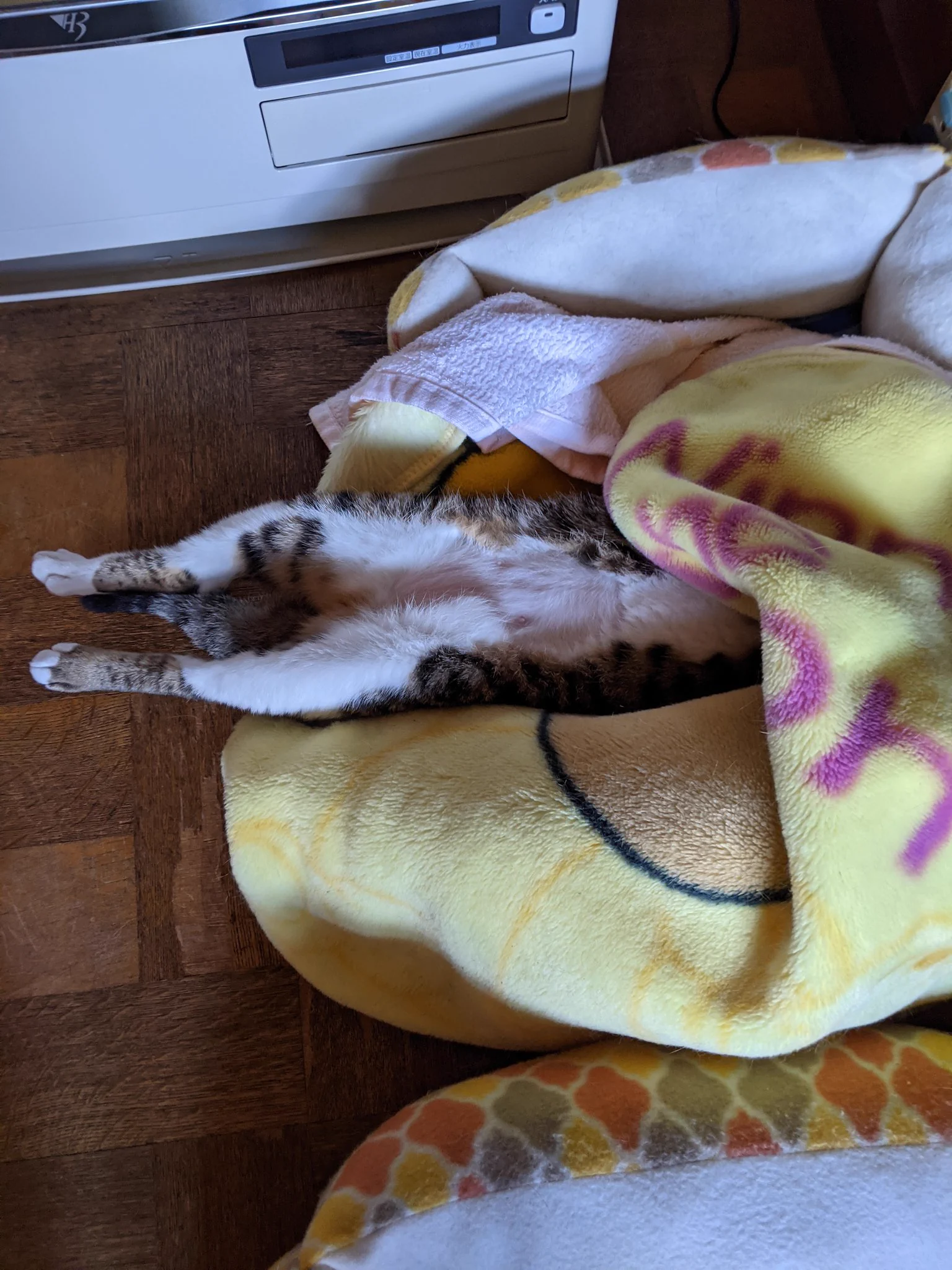 @groovy03291013 ミョ~ン｡そいえば最近ホラーモノがテレビで放送しないけどナゼ(最恐映像ノンストップくらいしか無い)?ホラーが好きなのに 