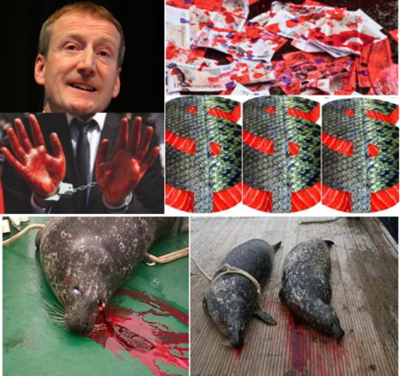 Don Staniford tweet media