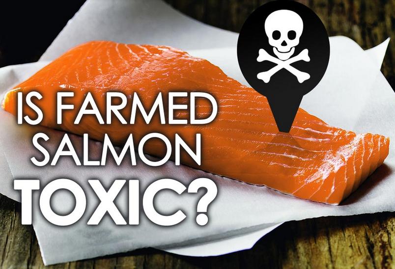 Don Staniford tweet media