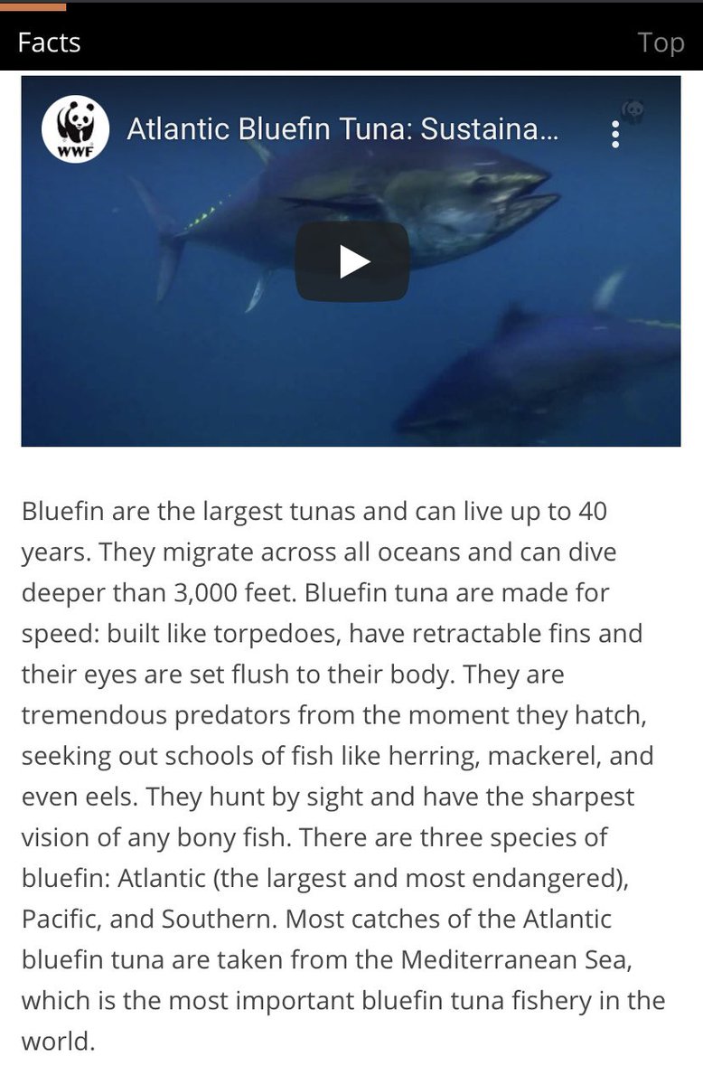 WTAF <a href="/zarahome/">Zara Home</a> <a href="/ZARA/">ZARA</a> ? #endangeredSpecies <a href="/WWF/">WWF</a> <a href="/wwf_uk/">WWF UK</a>