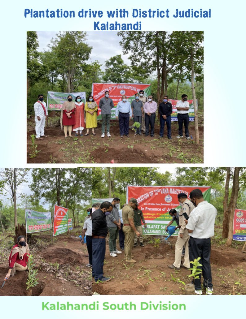 DfoSouth's tweet photo. @ForestDeptt @pccfodisha @sandeepifs https://t.co/LVKHF9gegI