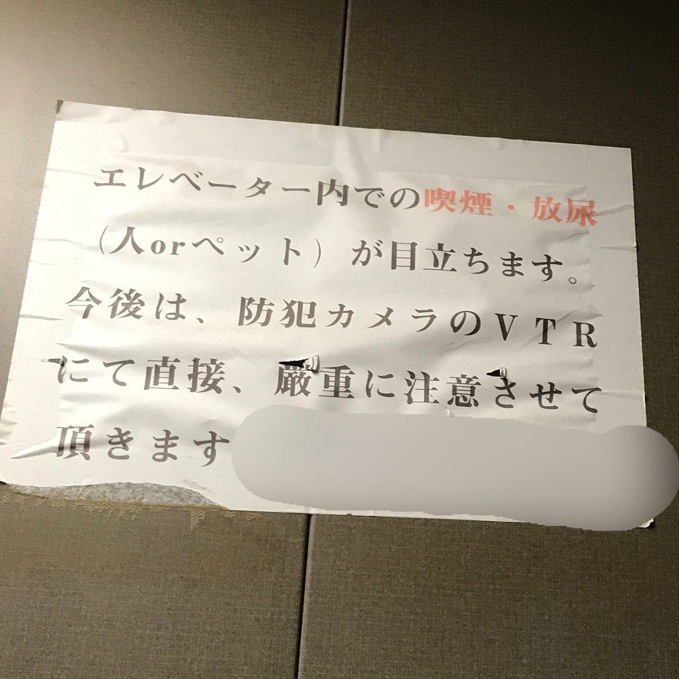 放尿 