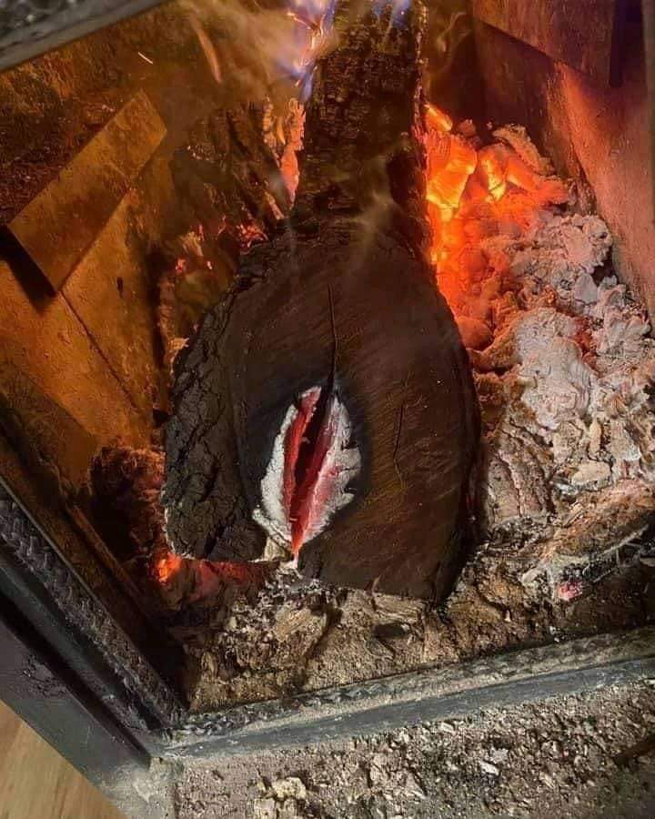 Stay away from that girl 😐

The girl... 🚶🏽‍♂️