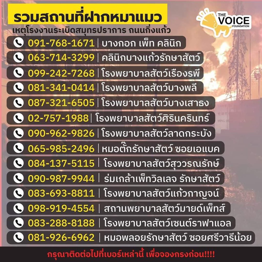 bbarabright's tweet photo. ⚠️ฝากรีกระจายข่าว คนละ1รีค่ะ⚠️
⚠️ฝากรีกระจายข่าว คนละ1รีค่ะ⚠️
⚠️ฝากรีกระจายข่าว คนละ1รีค่ะ⚠️
⚠️ฝากรีกระจายข่าว คนละ1รีค่ะ⚠️
⚠️ฝากรีกระจายข่าว คนละ1รีค่ะ⚠️
#โรงงานกิ่งแก้วไฟไหม้ https://t.co/pdYeNWECtQ