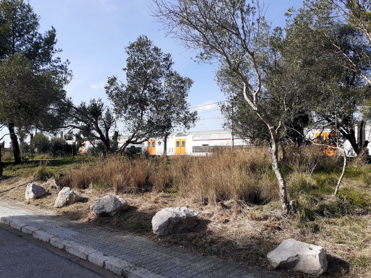 👉 Hem reposat els hotels d'insectes al bosquet de la ronda Mediterrània perquè

😠Una sèrie d’actes vandàlics en van malmetre 1 i l’altre va desaparèixer

❓Sabíeu que
⛏🌱Al gener vam adequar la zona com a 1r espai verd a #vng gestionat amb criteris de biodiversitat

 segueix👇🏼